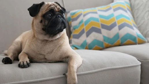 Criativa Ambientes Planejados