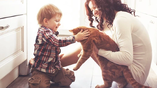 Criativa Ambientes Planejados