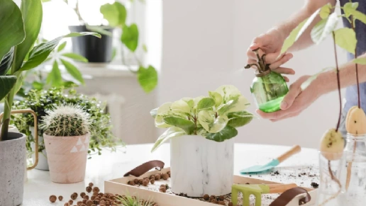 Criativa Ambientes Planejados