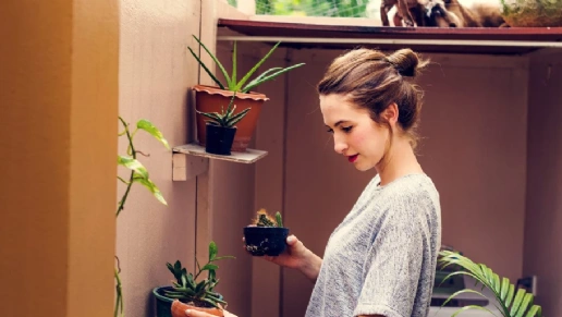 Criativa Ambientes Planejados